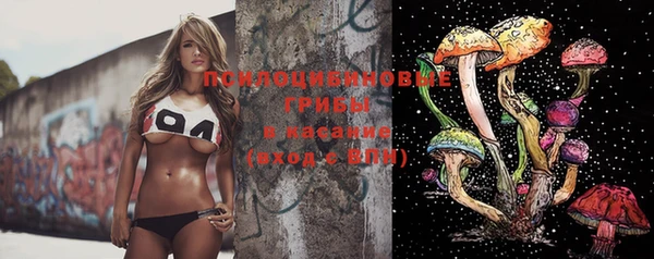 PSILOCYBIN Алексеевка