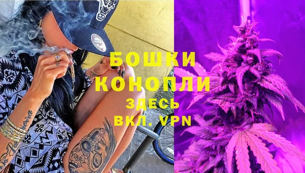 PSILOCYBIN Алексеевка